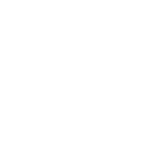 Logo preloader